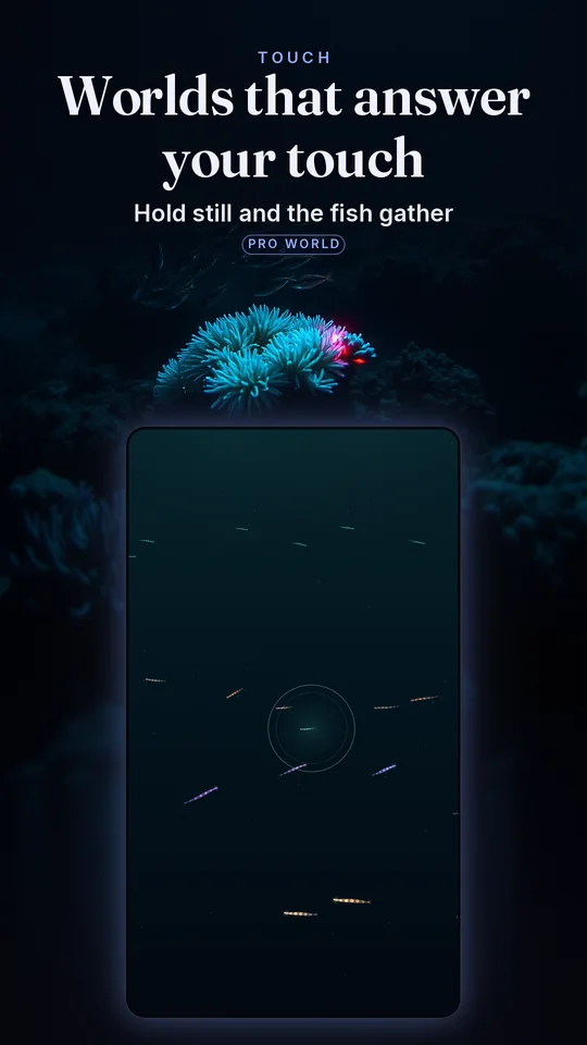 Worlds that answer your touch. Hold still and the fish gather.